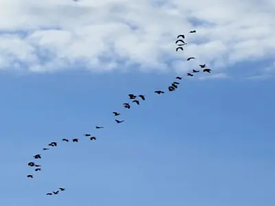 Domingo será de sol e tempo seco em Mato Grosso do Sul, aponta previsão
