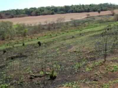PMA autua usina em R$ 1,71 milhão por incêndio e destruição de APPs