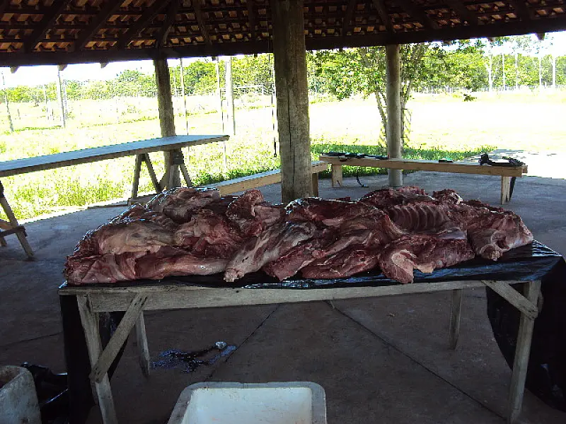 PMA troca tiros com caçadores e apreende sete capivaras abatidas em Bataguassu