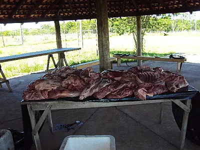 PMA troca tiros com caçadores e apreende sete capivaras abatidas em Bataguassu
