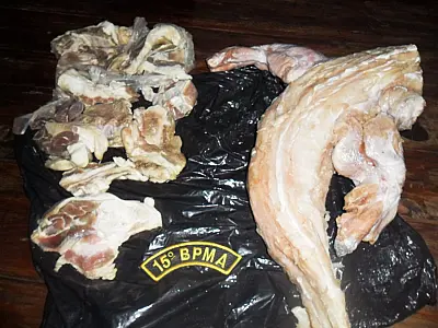 PMA prende Goiano por caça de jacaré e paca