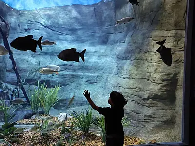 No Dia Mundial de Conscientização do Autismo, Bioparque realiza visitação inclusiva