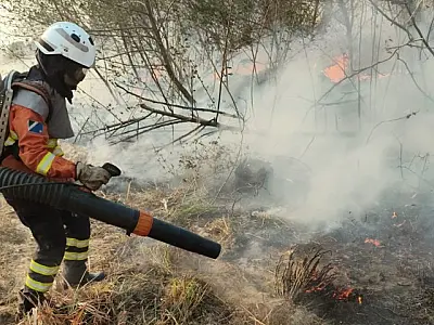 Mulheres têm papel de destaque no combate aos incêndios no Pantanal