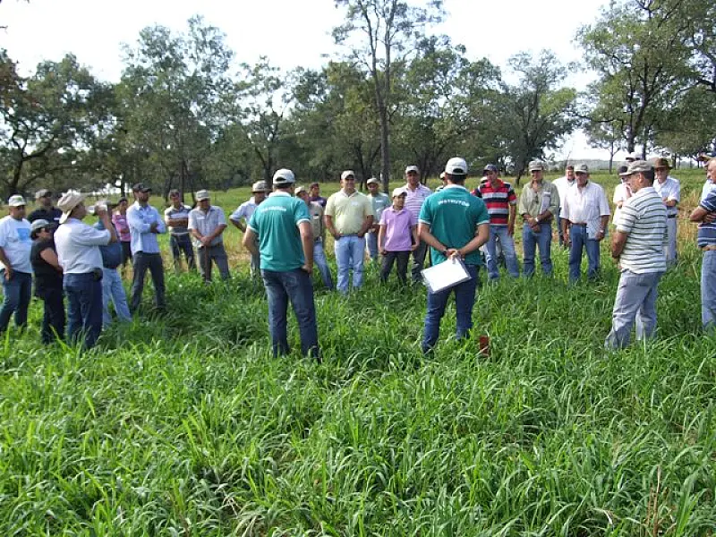 MS terá programa de agricultura de baixo carbono