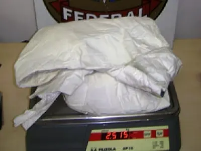 Boliviana é presa com 2 quilos de cocaína em fraldas