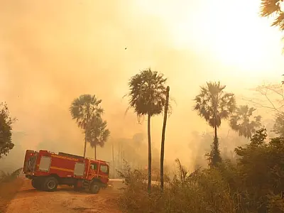 El Niño eleva risco de fogo no Pantanal,