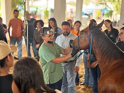 Prefeitura de Campo Grande promove curso de manejo em equinos durante a 85ª Expogrande