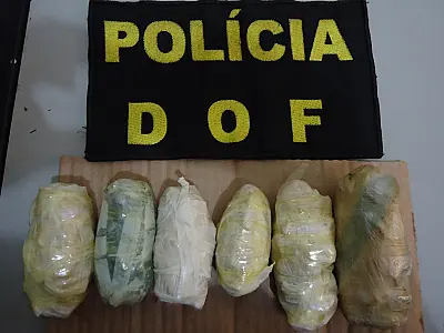 DOF apreende cocaína em creme de cabelo e papel higiênico