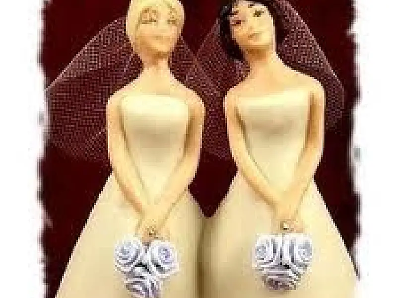 “A decisão do TJMS não muda nossa relação de amor, mas simboliza um avanço nos direitos humanos”, diz mulher homossexual