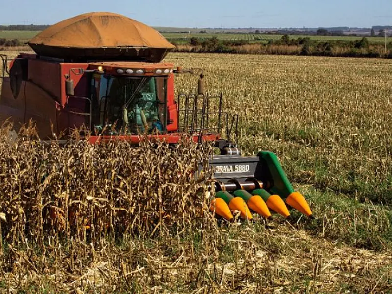 Com forte reação do agro, MS gerou 3 mil empregos em junho e tem estoque de trabalho recorde