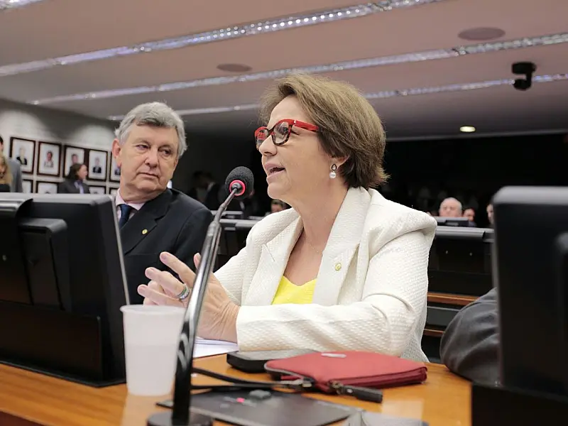 Tereza Cristina pede presença de Comissão de Agricultura em MS para análise de conflitos de terras