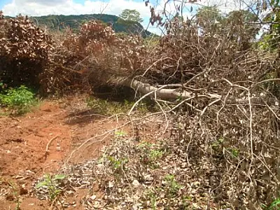 PMA autua fazendeiro em R$ 40 mil por desmatamento