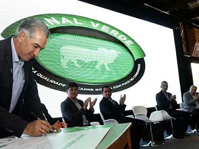 Pacto garante qualidade para carne bovina produzida em MS