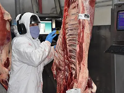 Mercado de carnes continua aquecido em MS e exportações cresceram quase 50% este ano
