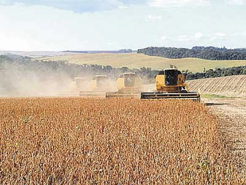 Conab prevê redução na produtividade da safra de MS