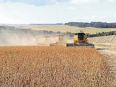 Conab prevê redução na produtividade da safra de MS