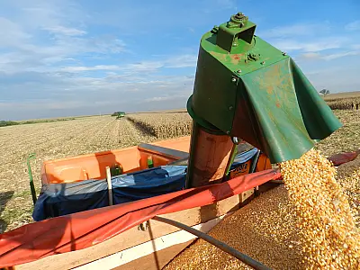 Exportação de milho de MS supera ano passado em 153%