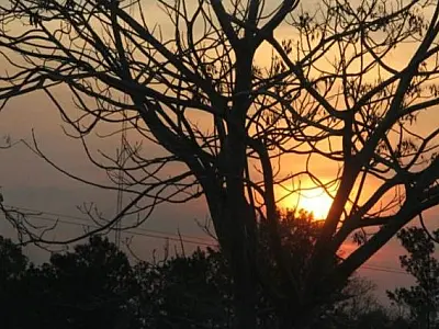 Grande amplitude térmica e tempo seco marcam quarta-feira em Mato Grosso do Sul  
