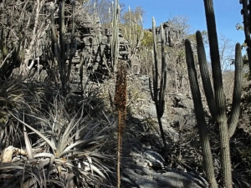 Parque Nacional Chapada Diamantina desapropria mais uma área e amplia regularização