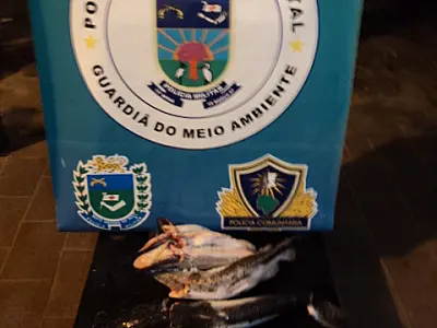 PMA prende caminhoneiro com pescado ilegal e pescador que vendeu o produto