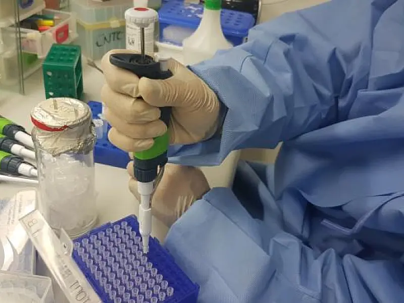 Inibidor do vírus Zika deve levar 10 anos para ser produzido em larga escala