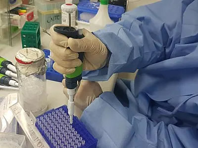 Inibidor do vírus Zika deve levar 10 anos para ser produzido em larga escala
