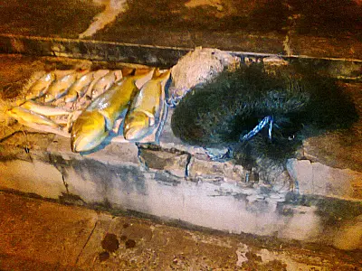 PMA prende dois pescadores com pescado fora da medida e capturado com tarrafa