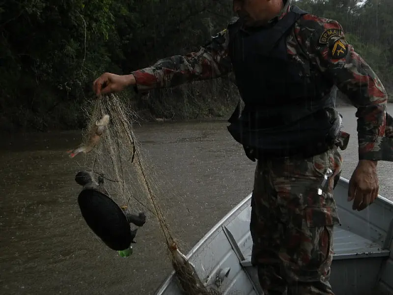 PMA apreende arma e acessórios para pesca e até tartaruga