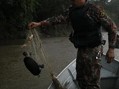 PMA apreende arma e acessórios para pesca e até tartaruga