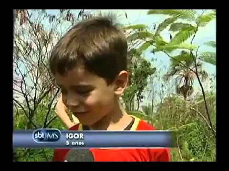Campo Grande-MS: Crianças plantam 200 árvores