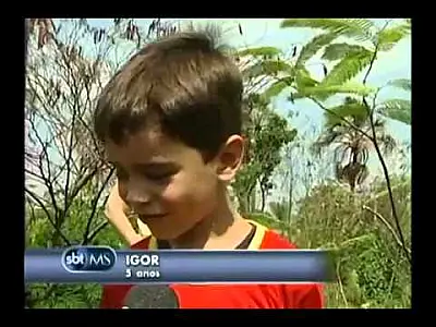 Campo Grande-MS: Crianças plantam 200 árvores