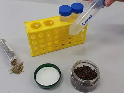 Óleos de orégano e de cravo no combate ao Aedes