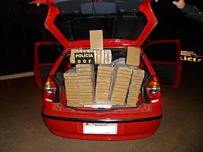 DOF apreende duzentos quilos de maconha