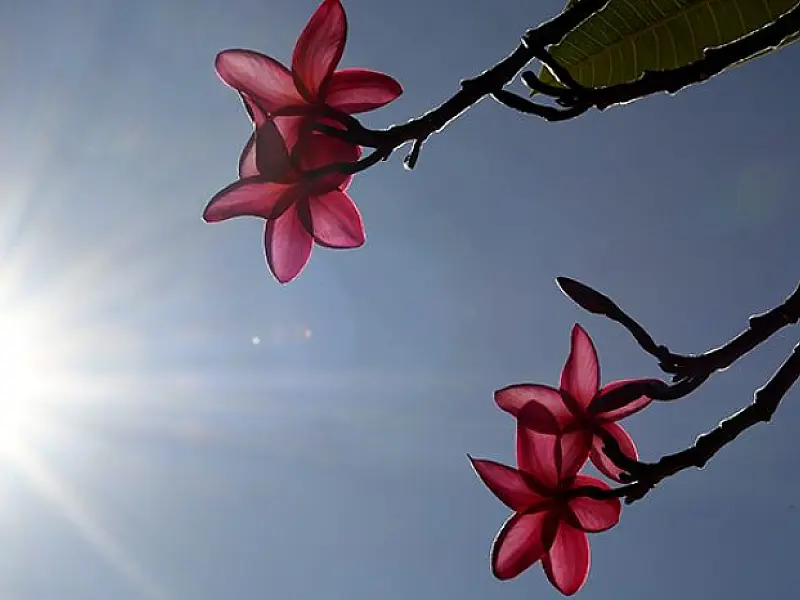 Final de semana será de sol e calor de até 39°C; chuvas retornam no domingo
