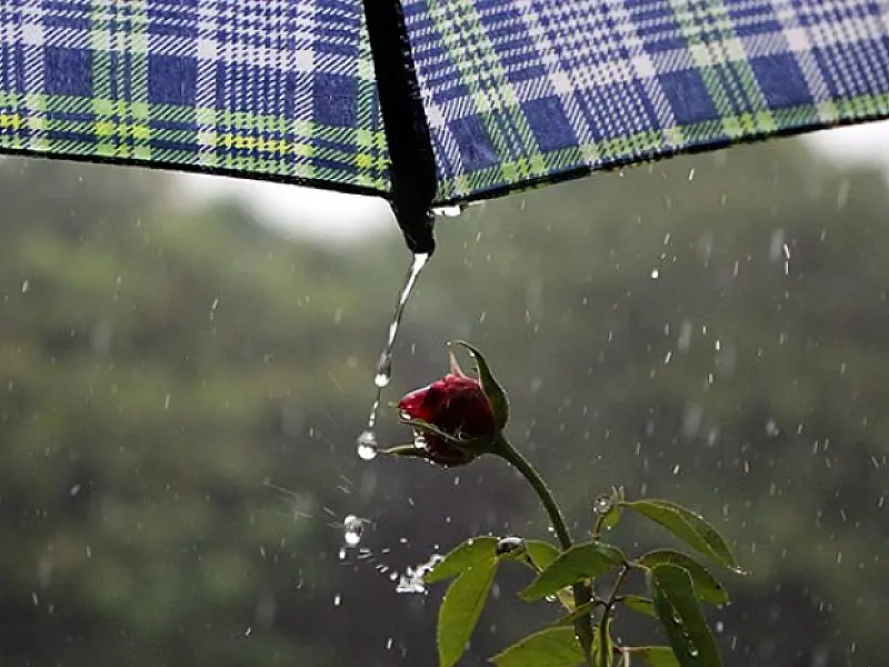 Terça-feira tem previsão de chuva em diferentes regiões do Estado
