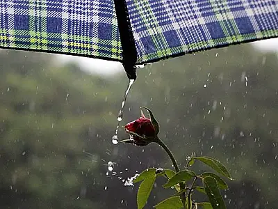 Terça-feira tem previsão de chuva em diferentes regiões do Estado
