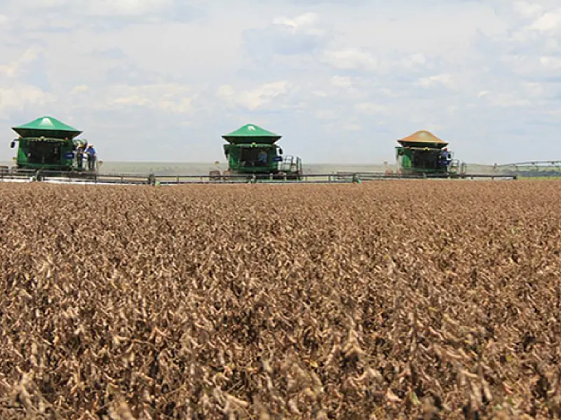 MS tem 2.213 milhões de hectares de soja cadastrados e prazo termina dia 10 de janeiro