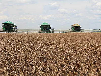 MS tem 2.213 milhões de hectares de soja cadastrados e prazo termina dia 10 de janeiro