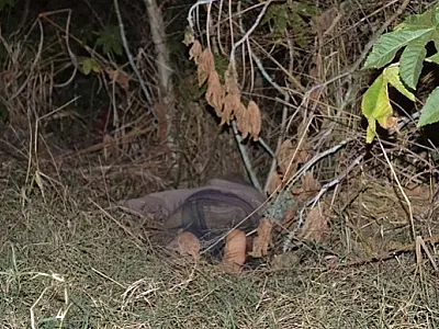 Jovem é encontrado morto em Sonora