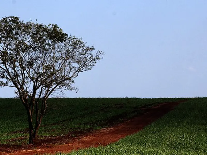 Chuva se mantém no centro-sul de MS e deixa temperaturas amenas nesta quarta
