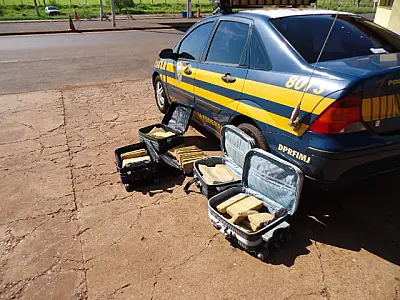 Jovens são presas transportando 50 quilos de maconha