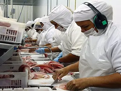 Estado quer elevar em quase 50% a produção de peixes de cultivo no Estado
