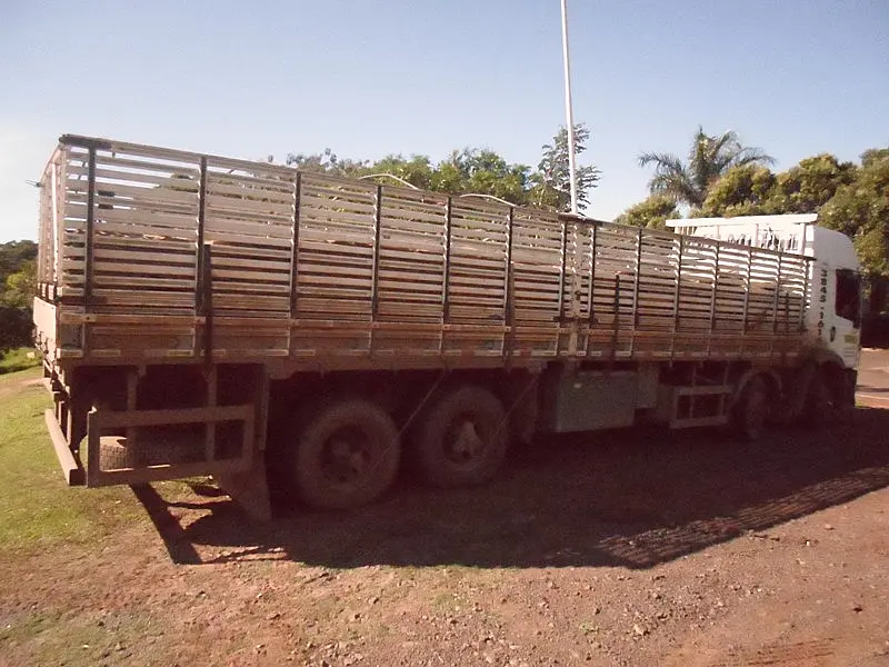 PMA autua empresa paulista por transporte ilegal de madeira