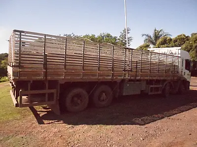 PMA autua empresa paulista por transporte ilegal de madeira