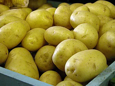 Cesta Básica Alimentar tem queda de 4,17% na Capital