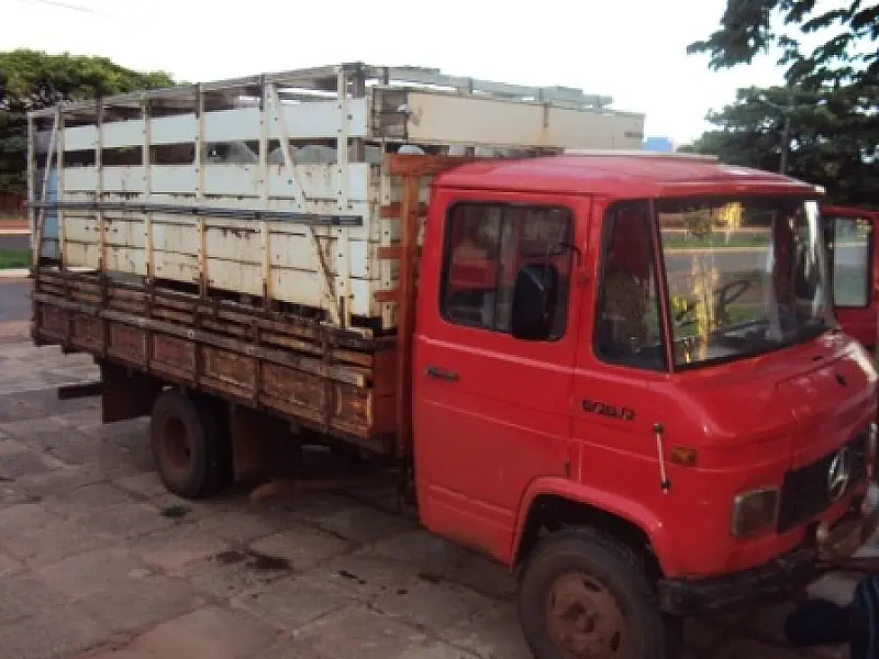 Caminhão é apreendido com gado contrabandeado do Paraguai
