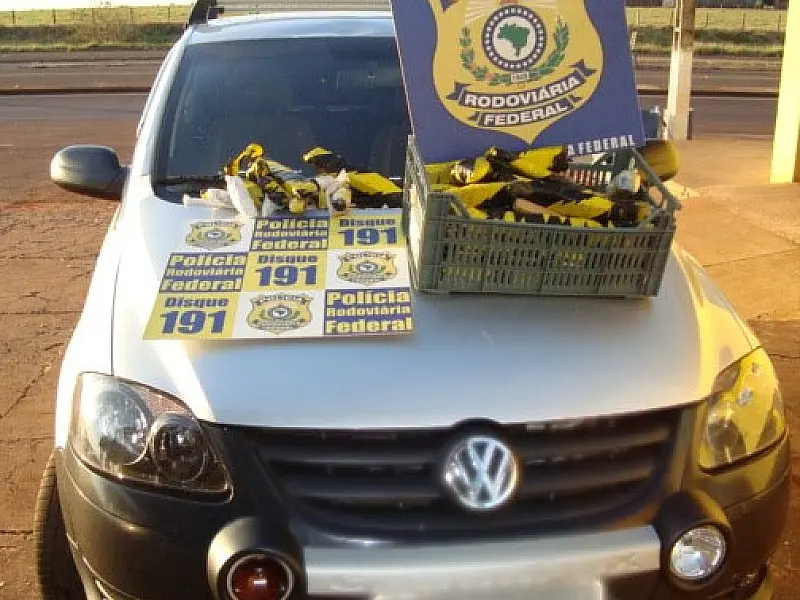 PRF apreende maconha, haxixe e crack em Ponta Porã