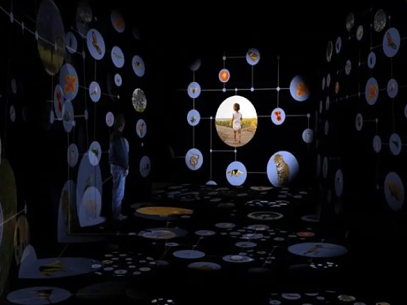 Com cinema em 3D, Museu da Biodiversidade vai surpreender visitantes com passeio pelo Pantanal