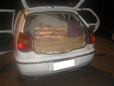 Apreendidos mais de mil frangos irregulares que seriam vendidos na Capital
