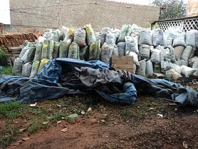 PMA fecha empacotadora de carvão ilegal em Bataguassu